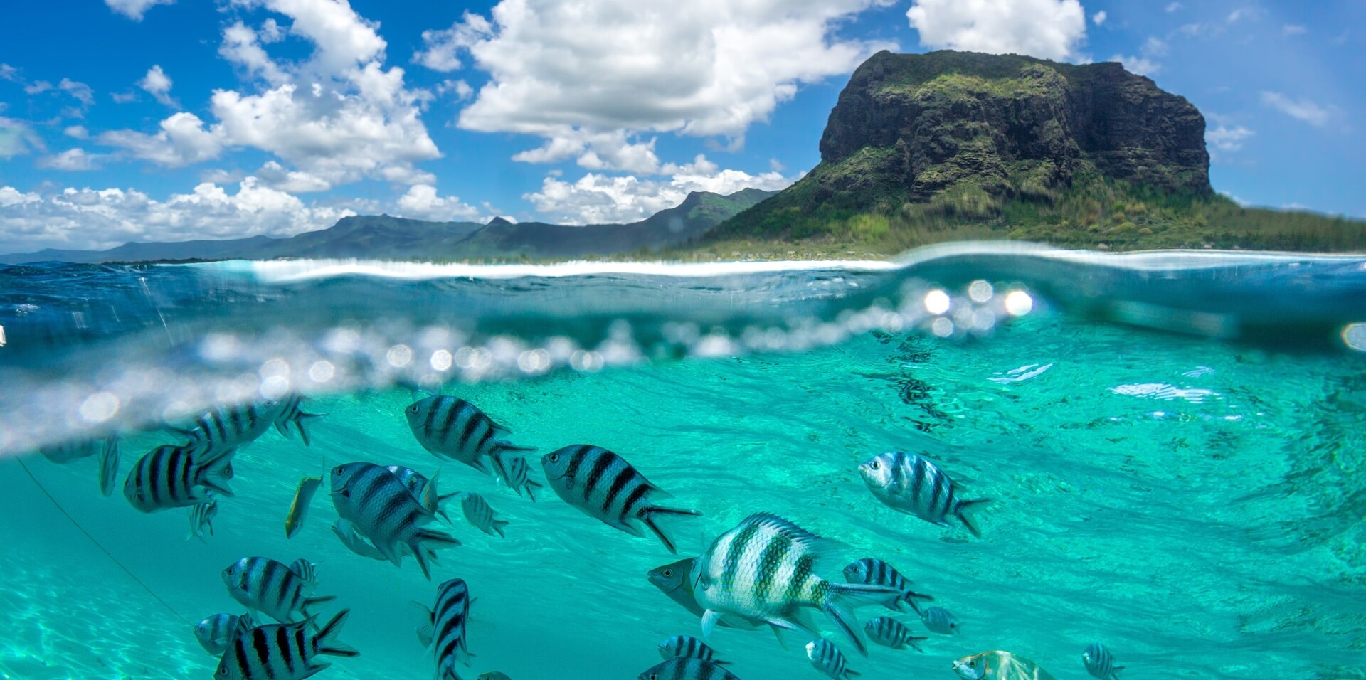 MAURITIUS – A YACHT CHARTER IN THE INDIAN OCEAN (8) | Phoenix Yacht Management