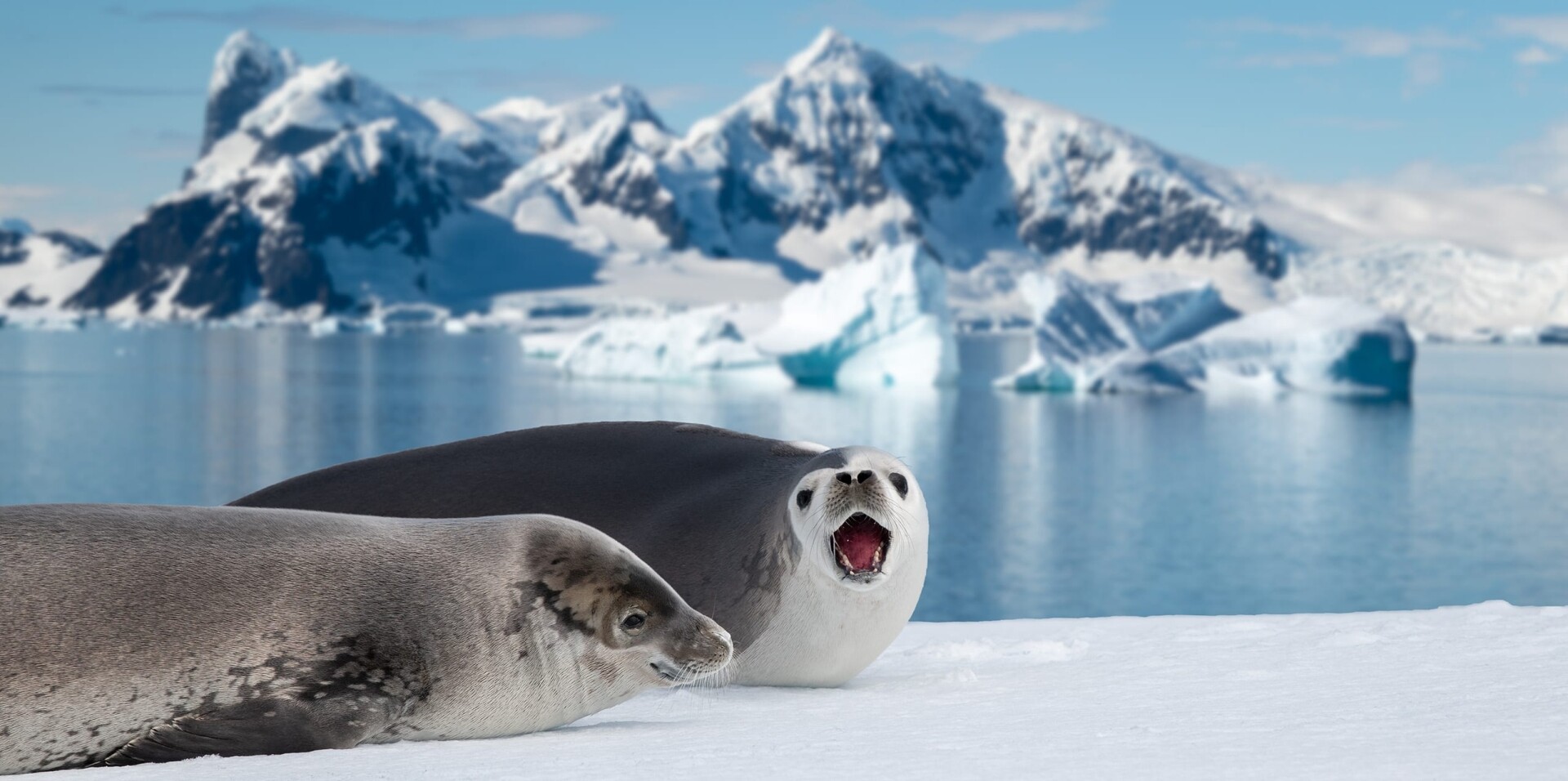 Antarctica Expedition Yacht Charter