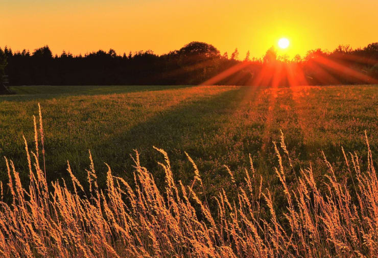 Luxury Yacht Charter Northern Europe Sweden (2)