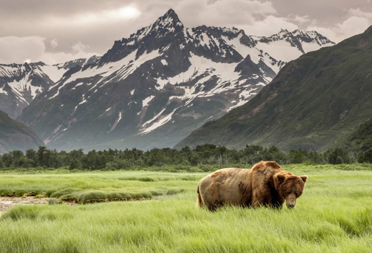 Luxury Yacht Charter Northern America Alaska (2)