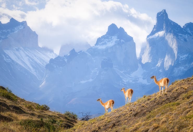 South America Luxury Yacht Charters (99) | Phoenix Yacht Management