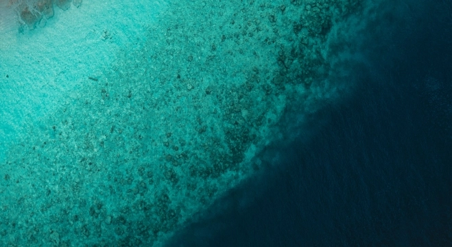 Indian Ocean Yacht Charter