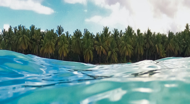 Caribbean Yacht Charters