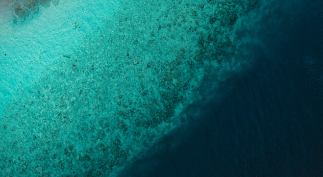 Indian Ocean Yacht Charter
