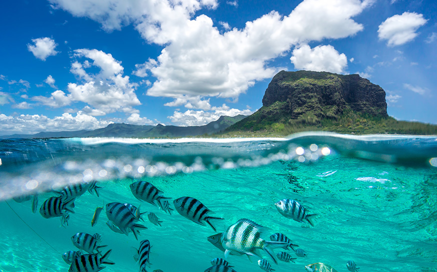 MAURITIUS – A YACHT CHARTER IN THE INDIAN OCEAN (7) | Phoenix Yacht Management