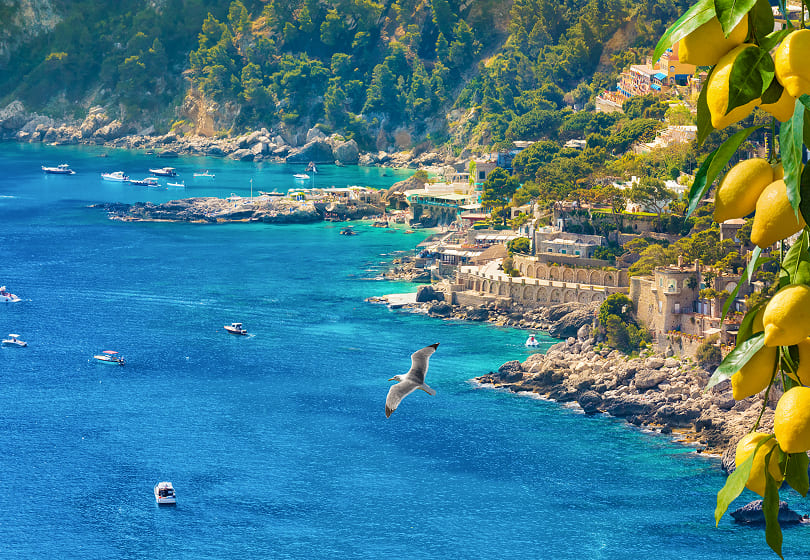 Yacht Charter in Capri (10) Yacht Charter in Capri (10) | Phoenix Yacht Management